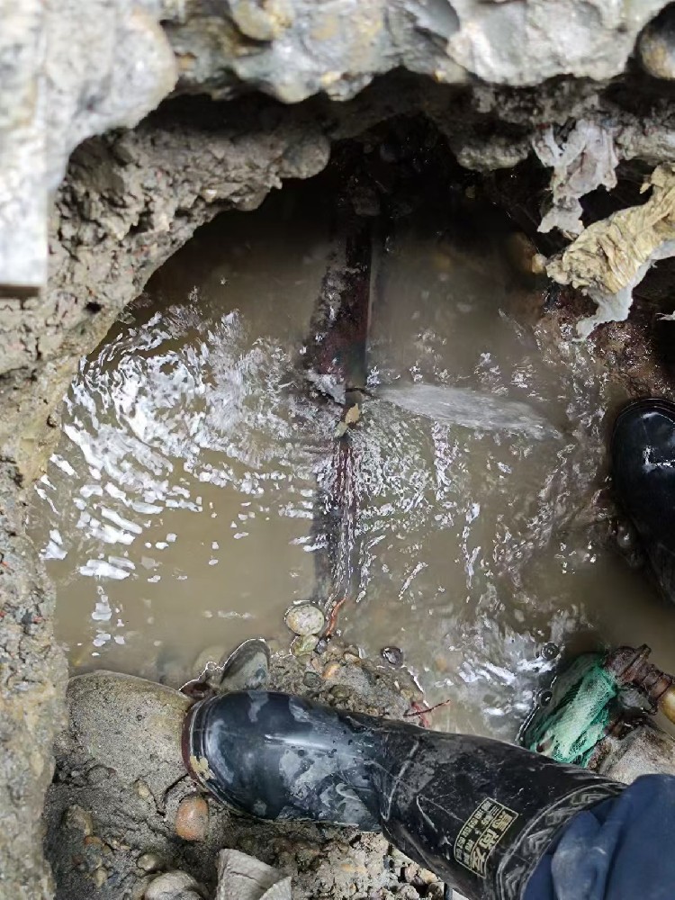 扎囊本地绿化水管漏水检测维修
